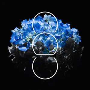 91♥️丨PORNY噜噜社
